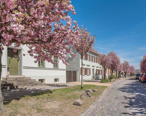 Bild_3_Lindenstr_001_2021